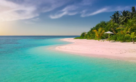 A Bahamas yacht charter takes you to palm-fringed sandy beaches