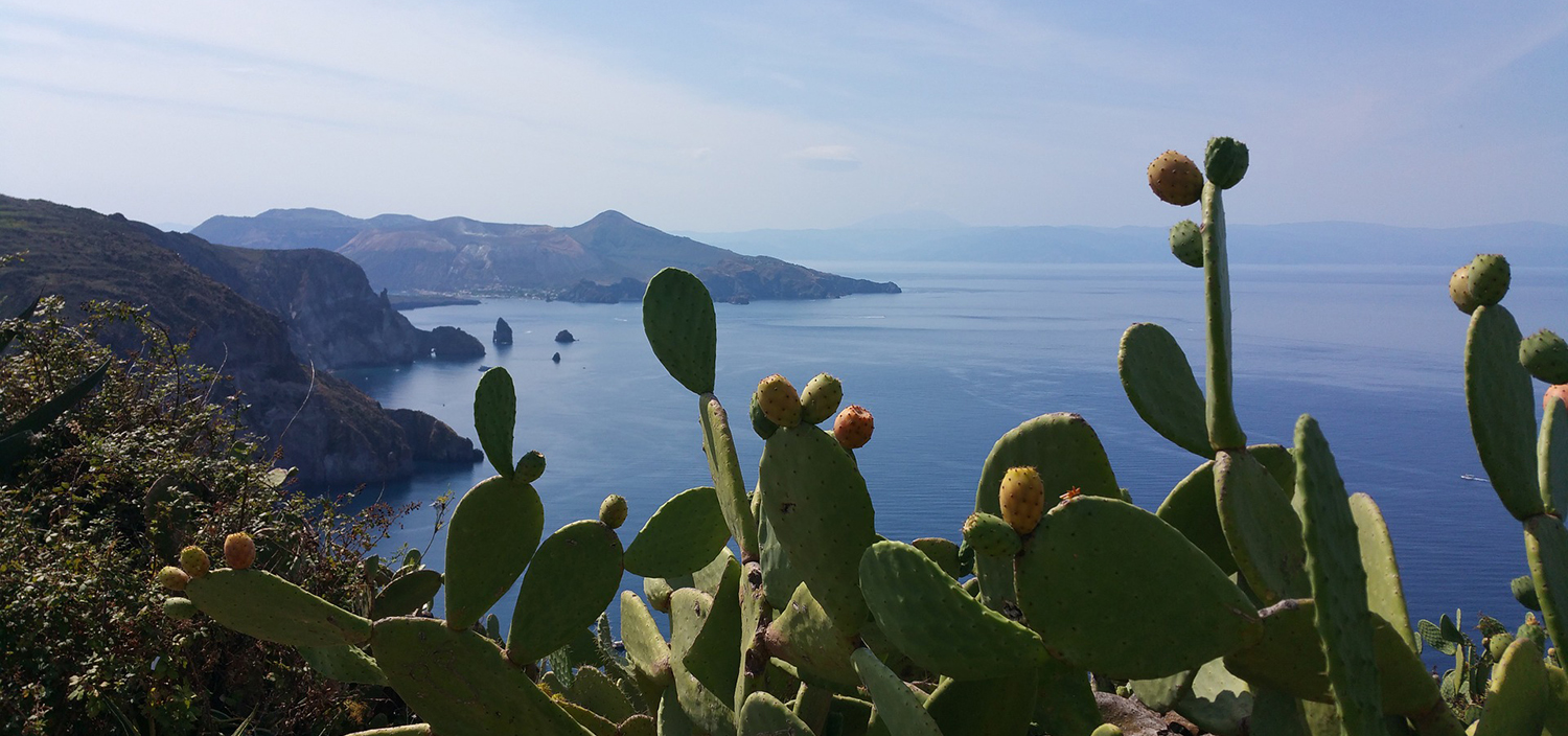 Enjoy a Salina yacht charter with Fraser and see lovely plants overlooking the sea
